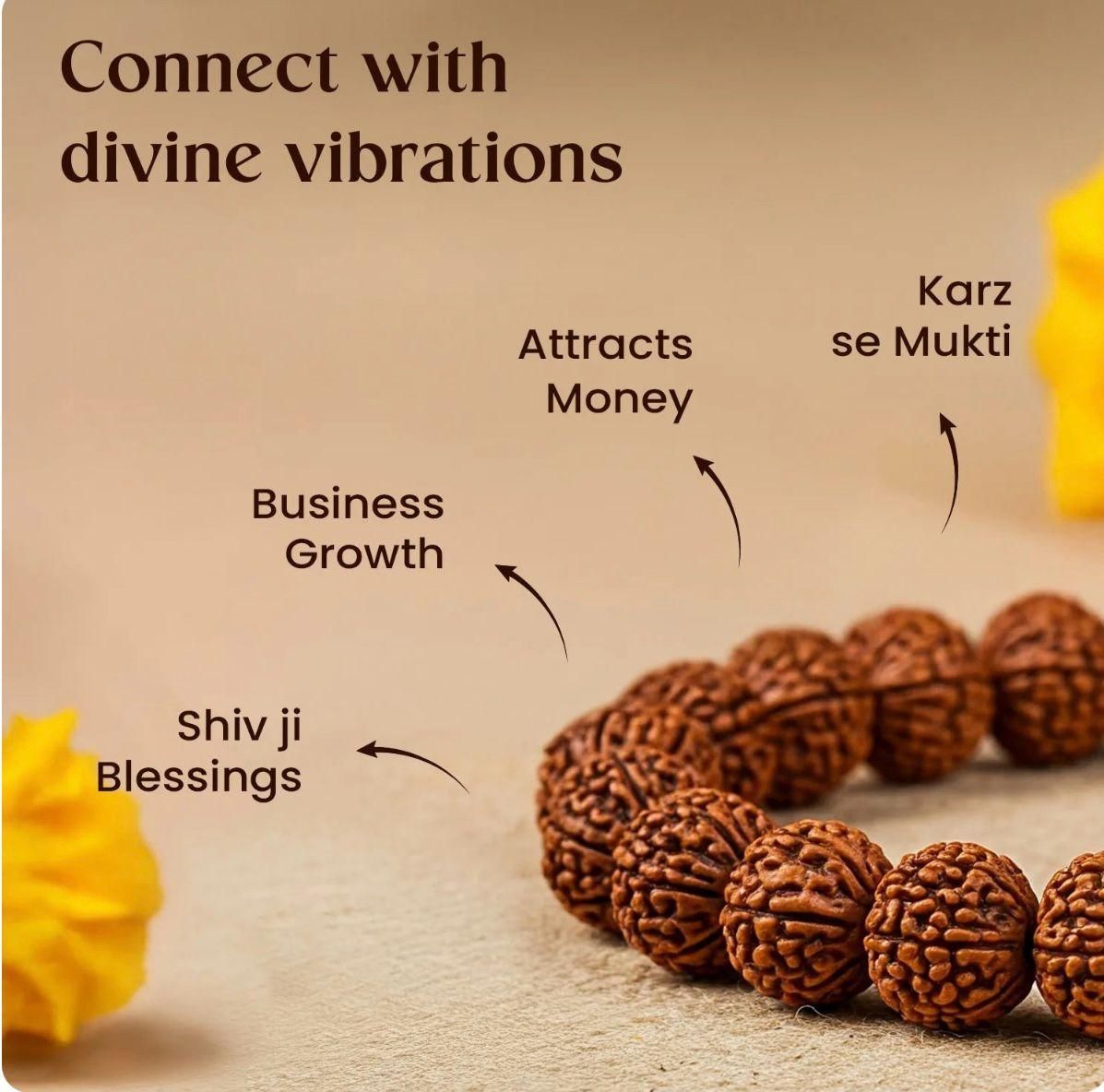 7 Mukhi Rudraksha Bracelet c5fu54-ny
