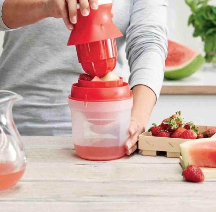 2 In 1 Mini Fruit Juicer (Pack of 1) c5fu54-ny