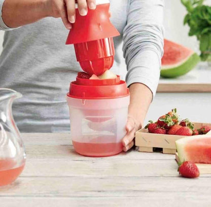 2 In 1 Mini Fruit Juicer (Pack of 1) c5fu54-ny